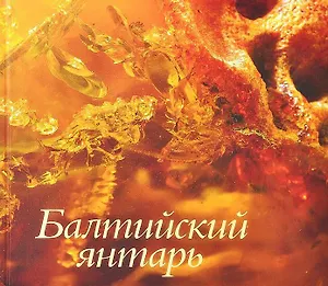 Балтийский янтарь из собрания Калининградского музея янтаря