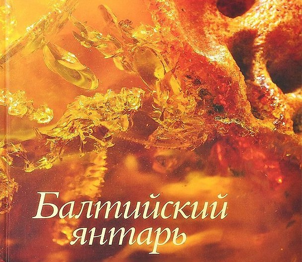 Книга Балтийский янтарь из собрания Калининградского музея янтаря () — 1