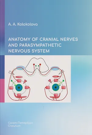 Книга Anatomy of cranial nerves and parasympathetic nervous system (Анна Колоколова)