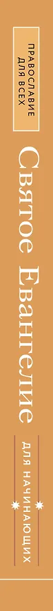 Книга Святое Евангелие для начинающих (Наталия Куцаева) — 3