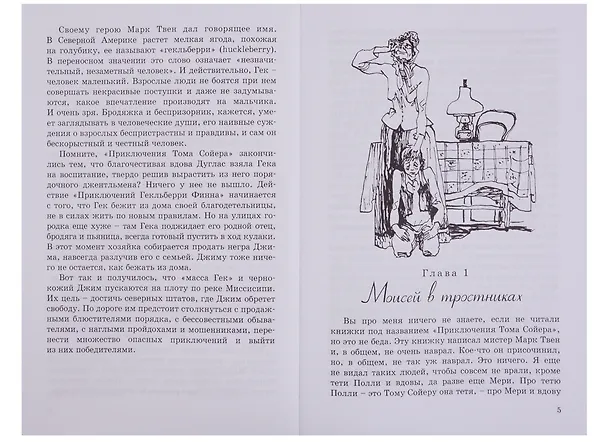 Книга Приключения Гекльберри Финна (Марк Твен) — 6