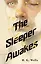 The Sleeper Awakes = Когда Спящий проснётся — 3138879 — 1