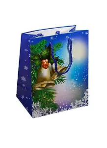 Пакет подарочный бумажный А5 18*22,7 ламинат, Новый Год, ассорти M, МегаМАГ