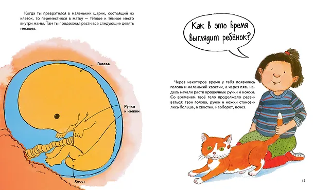 Книга Откуда берутся дети? (Мик Мэннинг) — 8