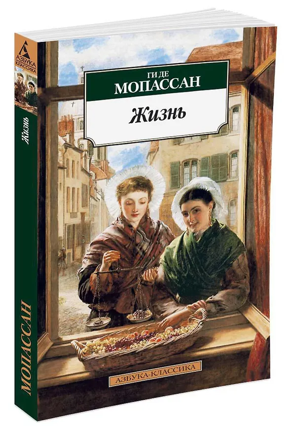 Книга Жизнь (Ги де Мопассан) — 2