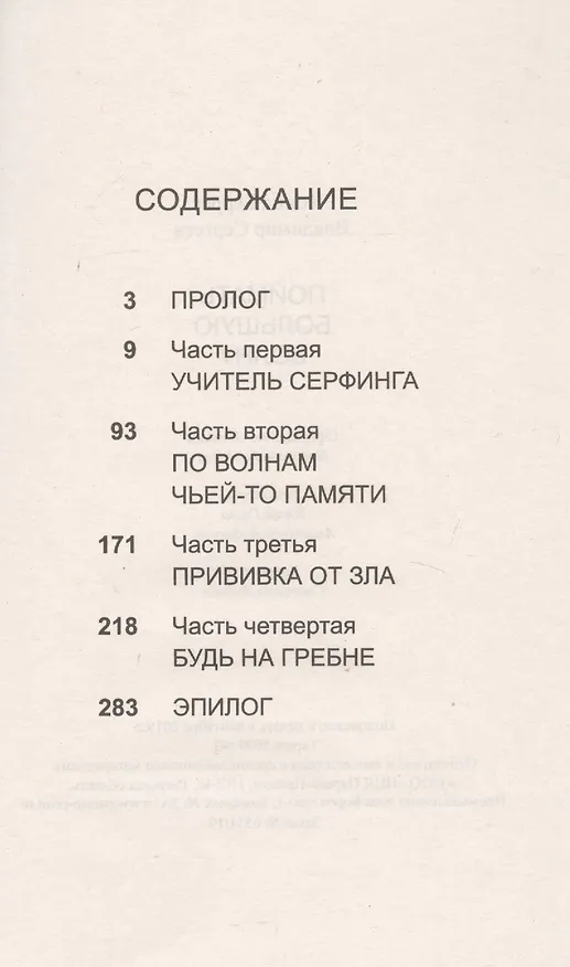 Книга Поймать большую волну () — 2