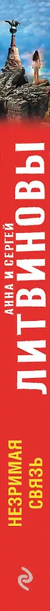 Книга Незримая связь: роман (Сергей Литвинов, Анна Литвинова) — 3