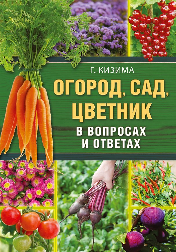 Книга Огород, сад, цветник в вопросах и ответах (Галина Кизима) — 1