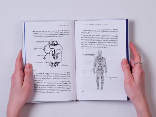 Книга Все о лимфе. Как правильно заботиться о здоровье лимфатической системы и почему это важно (закрашенный обрез) (Владимир Ивашков) — 14