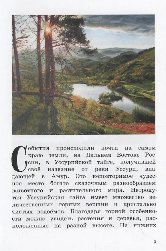 Книга Про любопытного тигренка Тима (Наталья Голикова) — 2