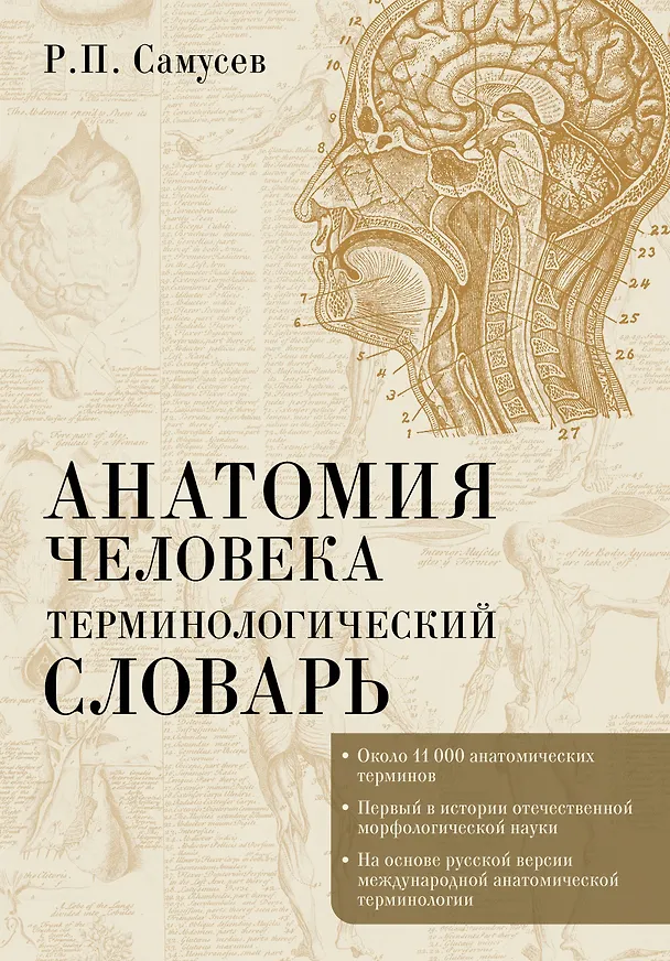 Книга Анатомия человека.Терминологический словарь (Рудольф Самусев) — 1