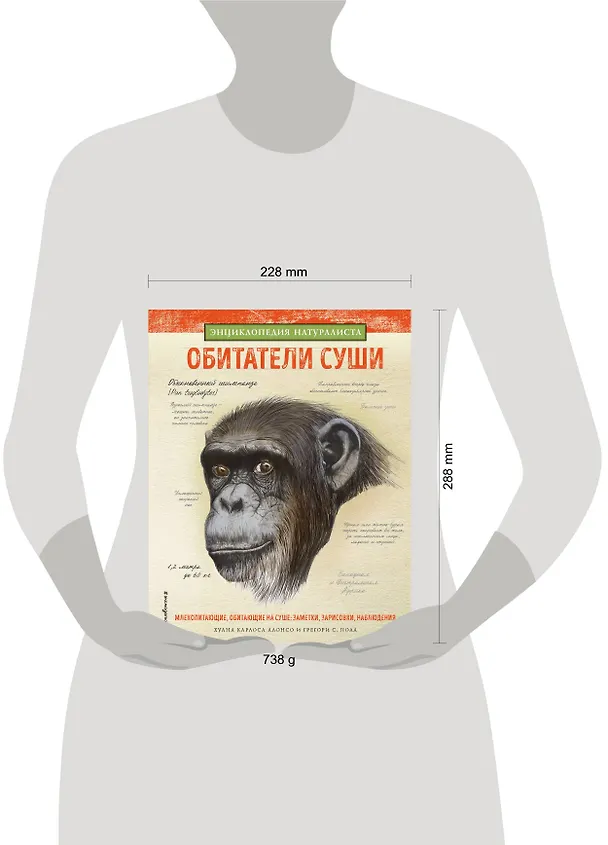 Книга Обитатели суши (Хуан Алонсо) — 5
