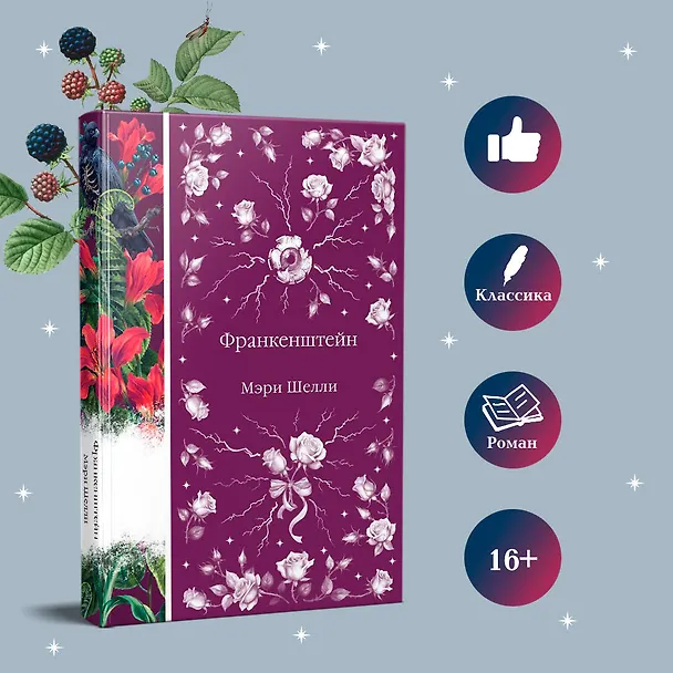 Книга Франкенштейн (Мэри Шелли) — 7