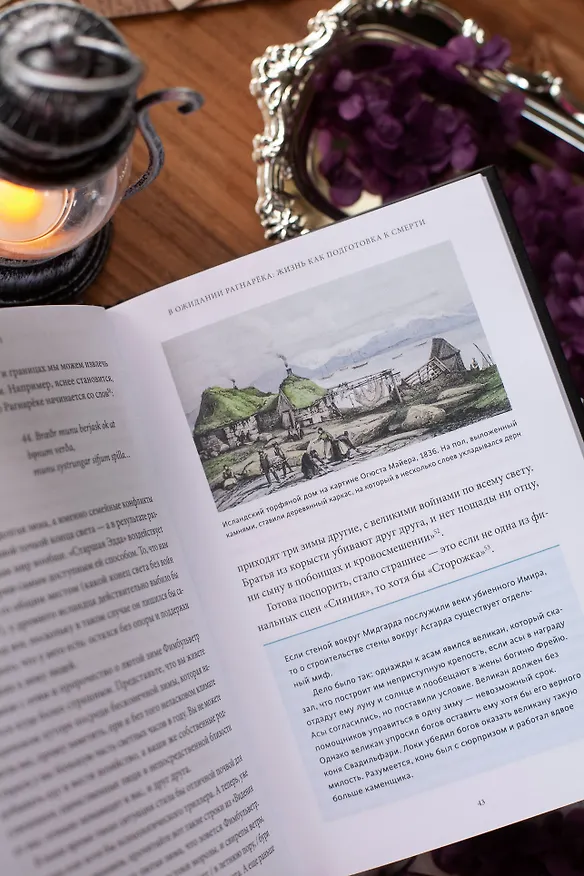 Книга Скандинавская культура смерти. Миф о Рагнарёке, воины Вальхаллы и башмаки Хель (Евгения Гулбис) — 11