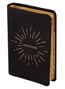 Библия: Книги священного писания Ветхого и Нового Завета: Канонические (в русском переводе с параллельными местами и словарем, с поисковыми индексами)