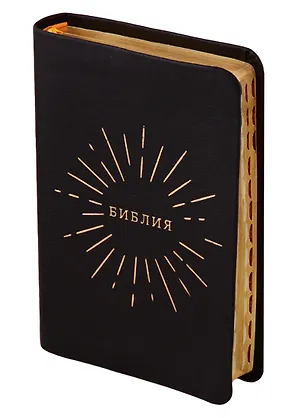 Книга Библия: Книги священного писания Ветхого и Нового Завета: Канонические (в русском переводе с параллельными местами и словарем, с поисковыми индексами) ()