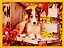 Алмазная мозаика ТМ Рыжий Кот (класс.) 40х50см (24цв) Собачки в саду AC4047 — 2798175 — 1