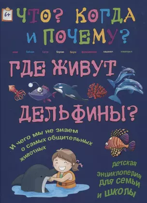 Где живут дельфины? И чего мы не знаем о самых общительных животных? — 2618195 — 1