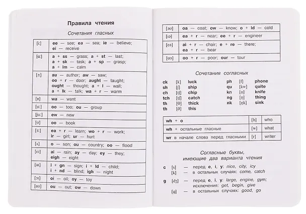 Тетрадь для записи английских слов «Полёт над лесом», 24 листа в крупную линейку, А5 - Airis 3038855 — 5
