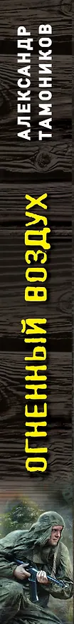 Книга Огненный воздух (Александр Тамоников) — 3