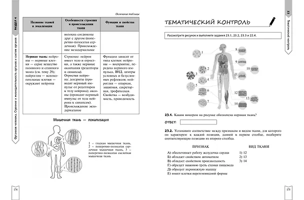 Книга Биология (Наталья Баштанник) — 16