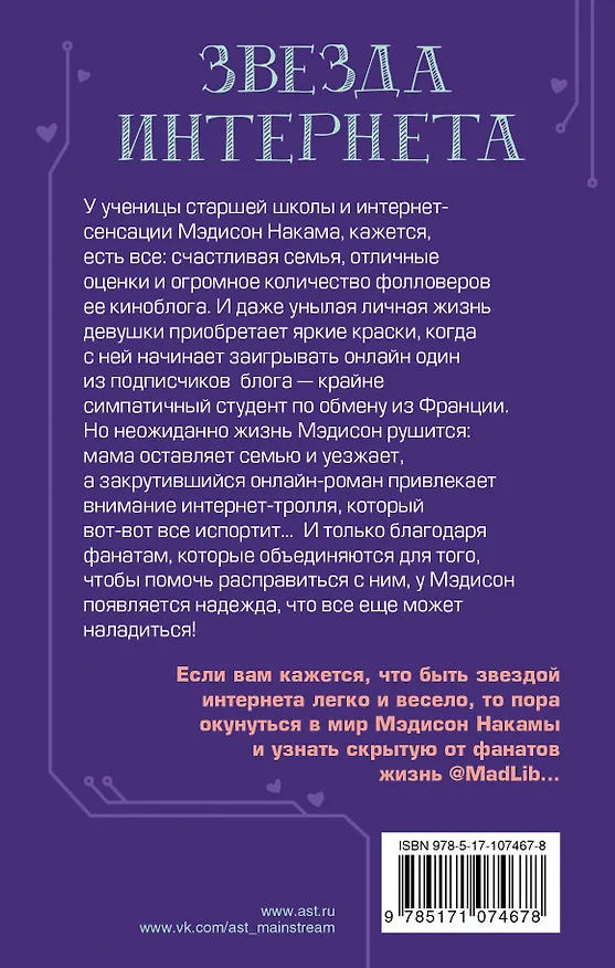 Книга Звезда Интернета (Джулиан Стоун) — 2