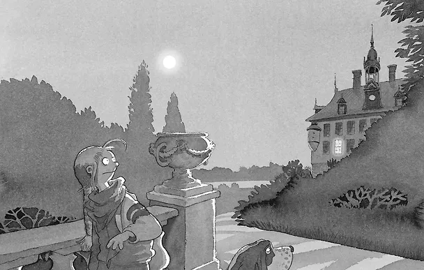 Книга Призрак старого замка (Мартин Видмарк) — 3
