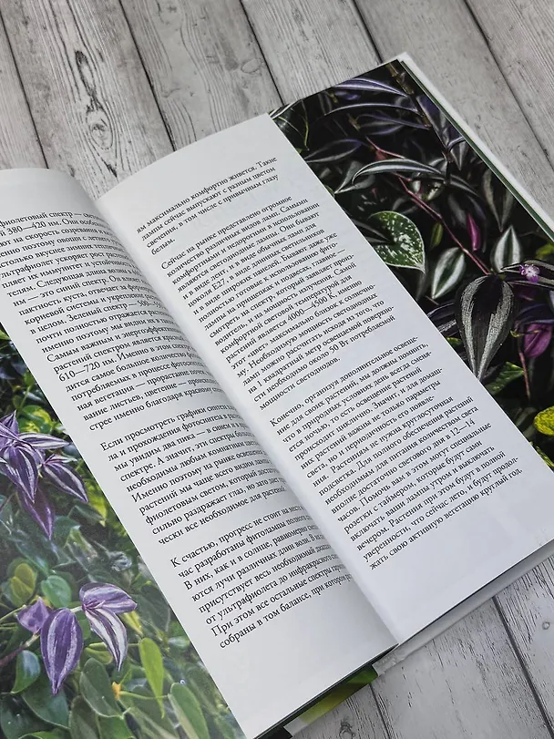Книга Растущие в темноте. Комнатные растения для укромных уголков вашего дома (Екатерина Кузнецова) — 15