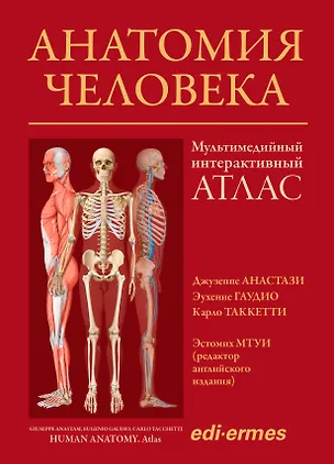 Книга Анатомия человека:атлас (Джузеппе Анастази)