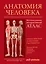 Анатомия человека: атлас — 3165176 — 1