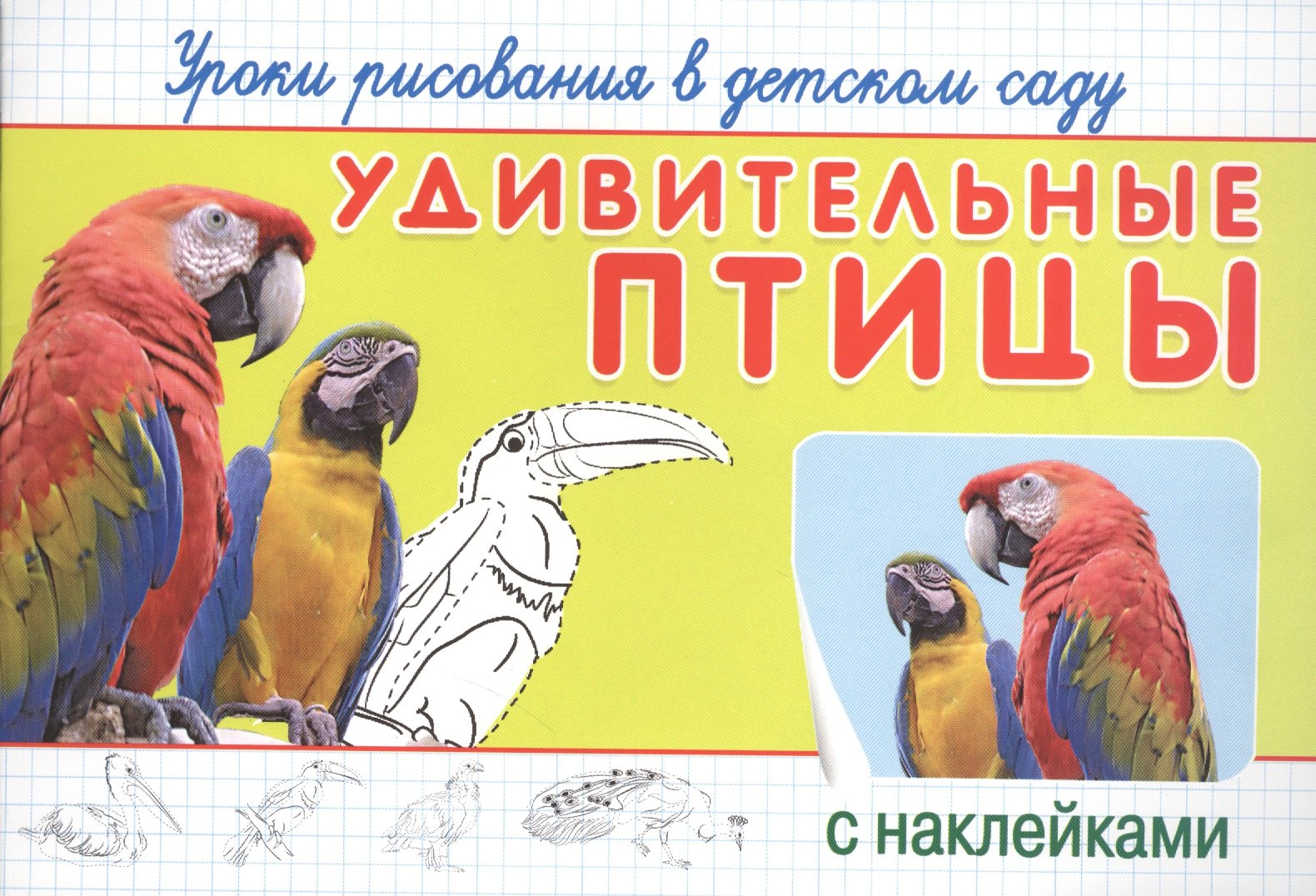

Уроки рисования в детском саду. Удивительные птицы