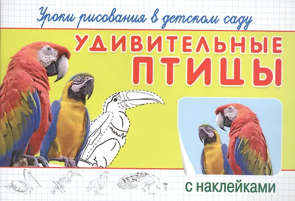 Книга Уроки рисования в детском саду. Удивительные птицы () — 1