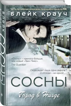 Сосны. Город в Нигде — 2478878 — 1