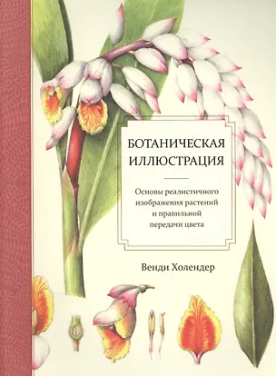 Книга Ботаническая иллюстрация (Венди Холендер)
