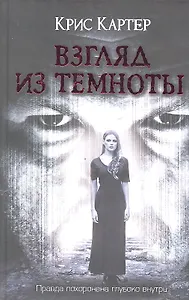 Взгляд из темноты: роман