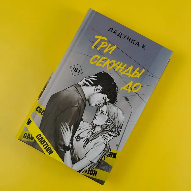 Книга Три секунды до (Ксения Ладунка) — 5