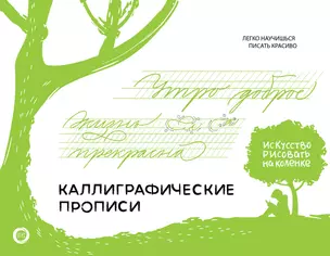 Каллиграфические прописи. Бизнес-курсив — 3048369 — 1