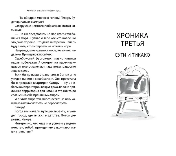 Книга Хроники странствующего кота (Хиро Арикава) — 20