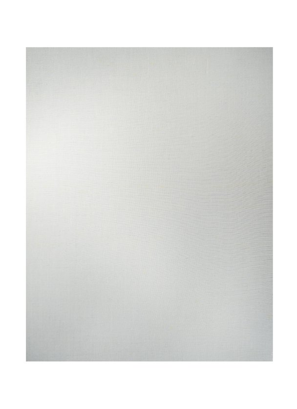 Холст на картоне 50*70 грунт., Подольск Арт-Центр 221140 — 1
