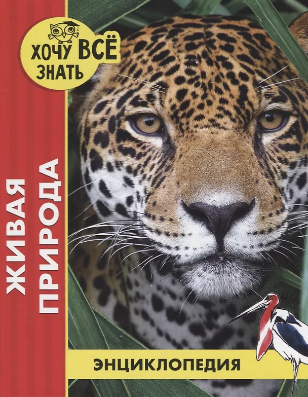 Книга Живая природа. Энциклопедия (Михаил Савостин) — 1