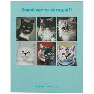 Дневник для средних и старших классов Listoff, "Какой ты кот?" 2898532