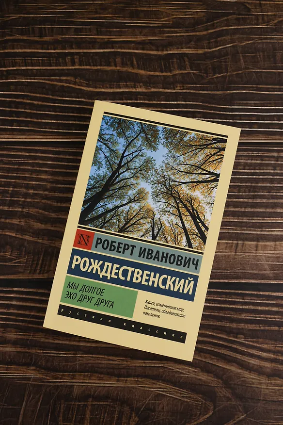 Книга Мы долгое эхо друг друга (Роберт Рождественский) — 6
