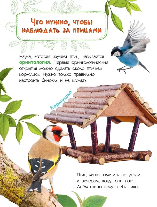 Книга Птицы (Мария Рахчеева) — 11
