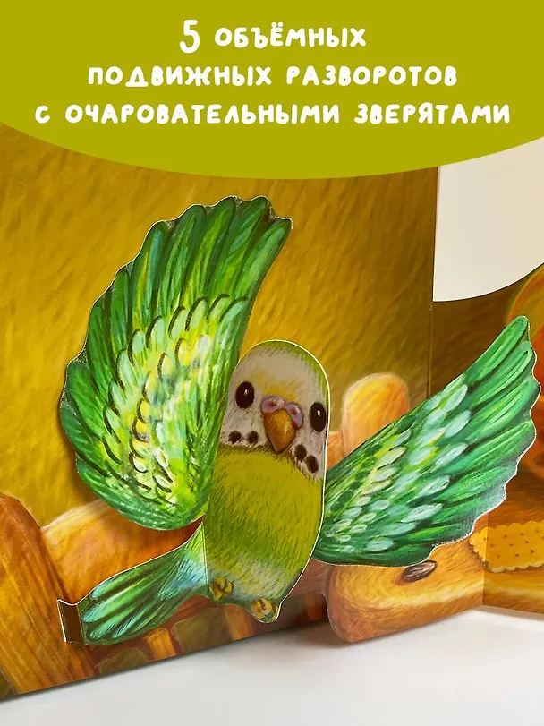 Книга Домашние животные (Нина Пикулева) — 4