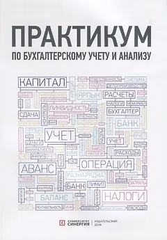 Практикум по бухгалтерскому учету и анализу