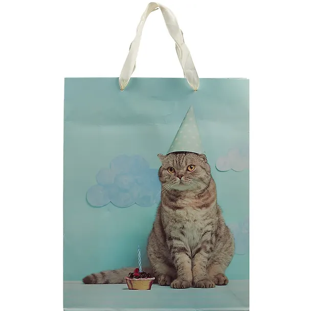 Пакет "Cat. Basic", А4 261961 — 2