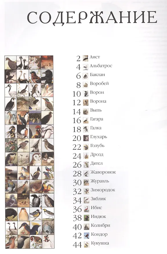 Книга Самые красивые птицы : иллюстрированная энциклопедия () — 2
