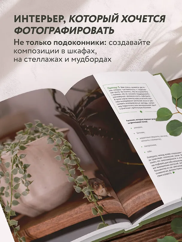 Книга Эстетика живого интерьера. Как создать стильное пространство с помощью комнатных растений (Анна Гиниятуллина) — 8