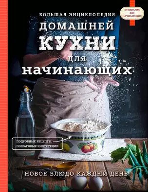 Большая энциклопедия домашней кухни для начинающих — 2620155 — 1