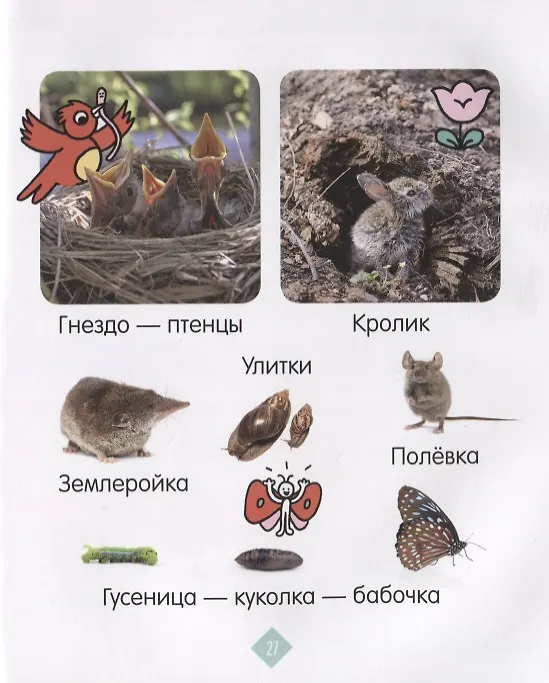 Книга Зверята. Фотокнига () — 5